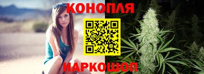 mdpv Можга
