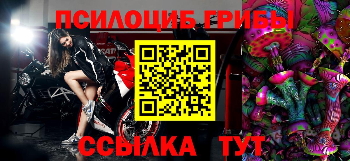 Галлюциногенные грибы MAGIC MUSHROOMS Великий Устюг