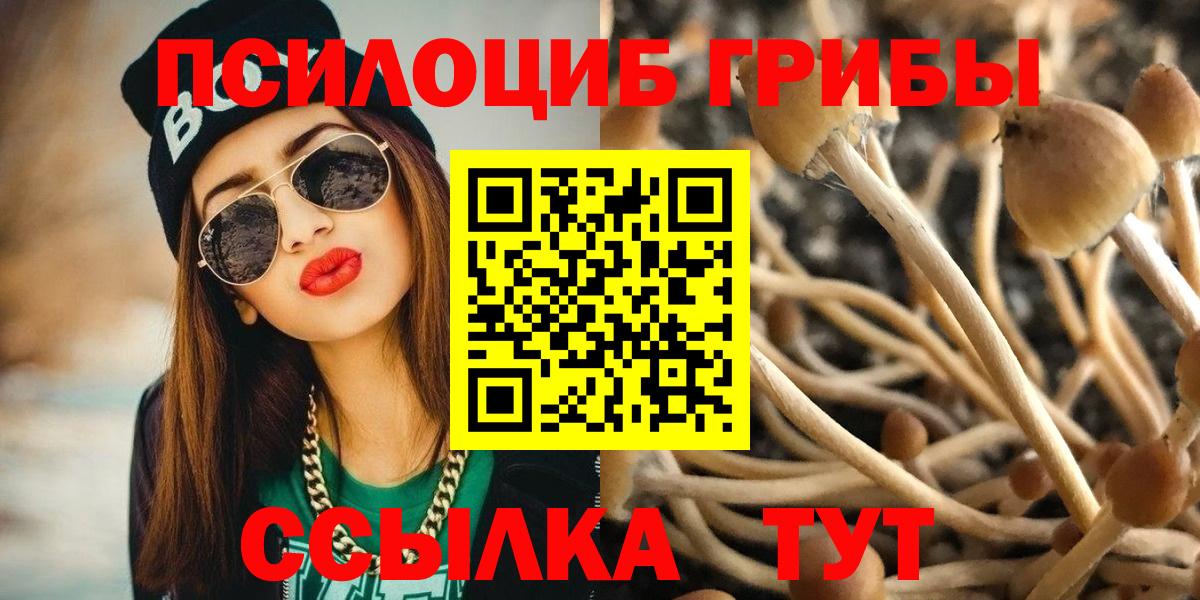 Галлюциногенные грибы прущие грибы  Вход с VPN  Псилоцибиновые грибы мицелий  Великий Устюг 